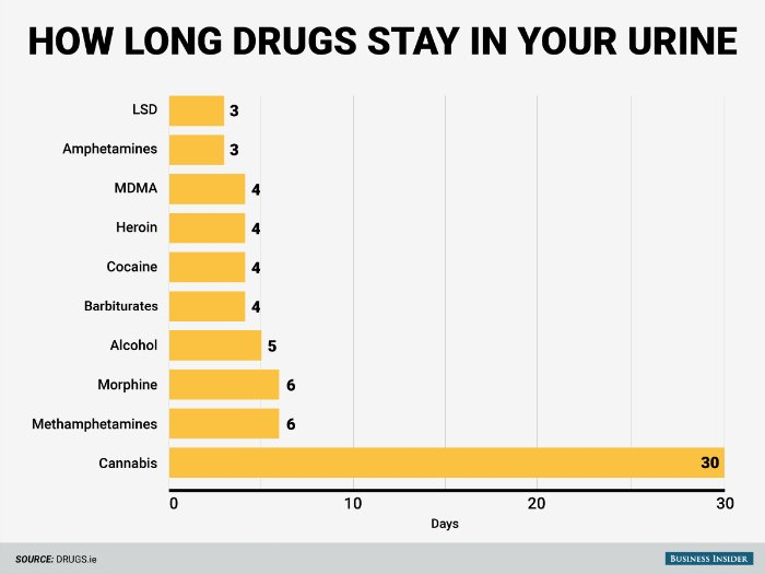 How long drugs stay in your urine 